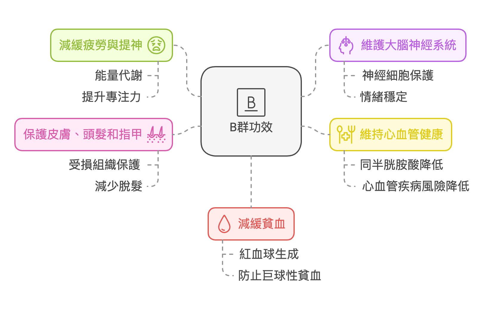 5大B群功效